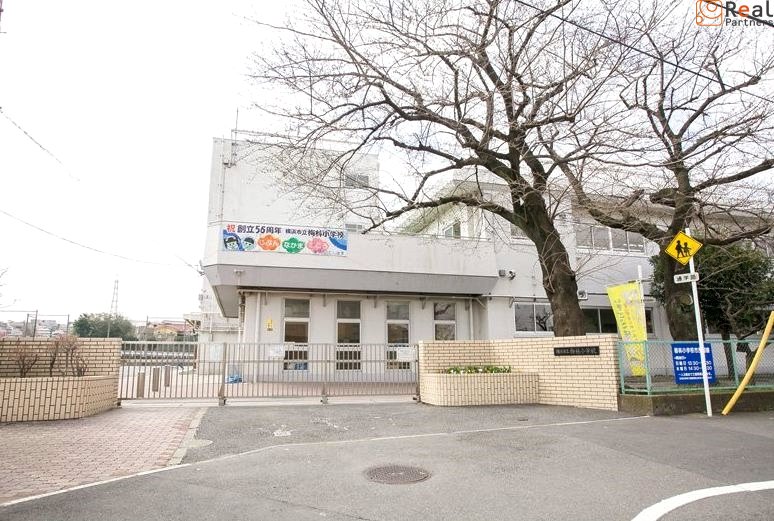 ���ͻ�Ω���Ӿ��ع� ����10ʬ�� 750m