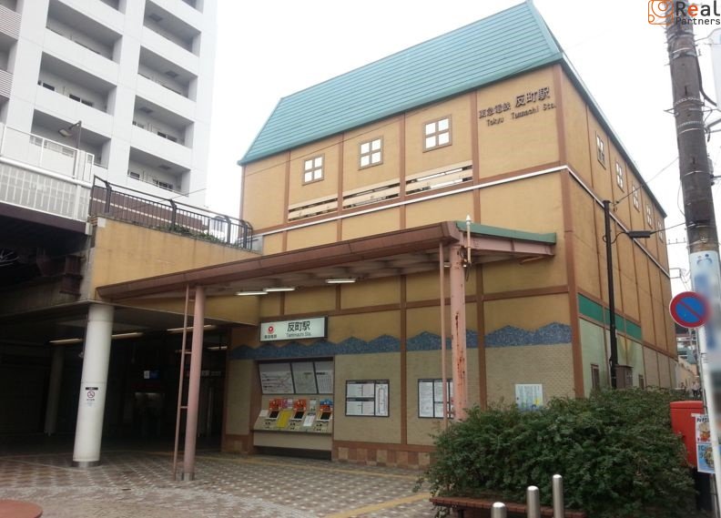 ȿĮ��(�����Ŵ �첣��) ����5ʬ�� 350m