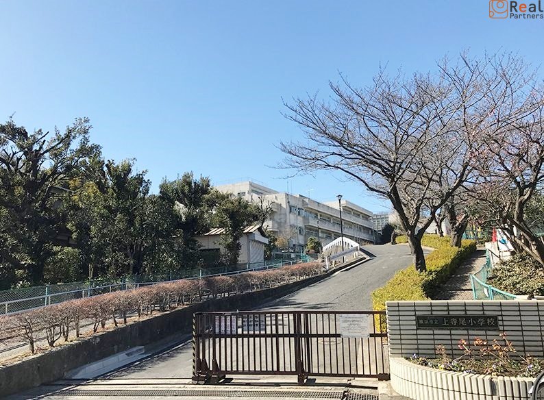 ���ͻ�Ω��������ع� ����4ʬ�� 250m