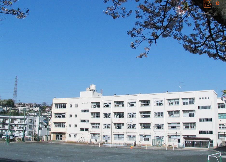 ���ͻ�Ω�������ع� ����20ʬ�� 1540m