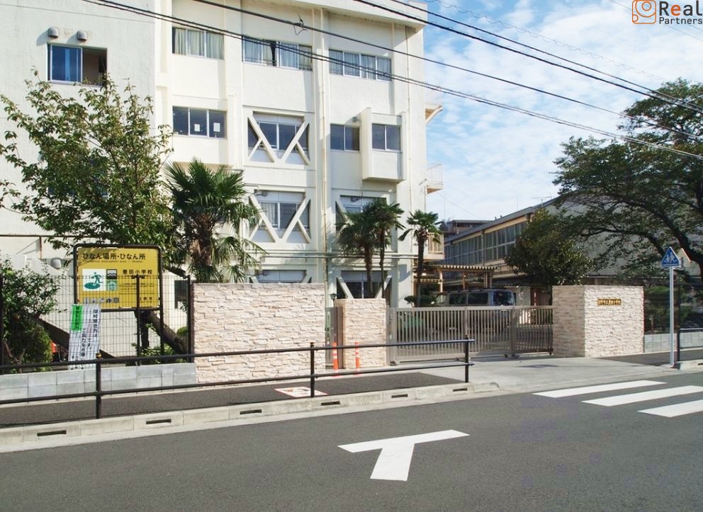 ���ͻ�Ω˭����ع� ����25ʬ�� 1960m