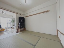 ӥ󥰲ˤ뤯Ȥ餵줿5.5ġ¼