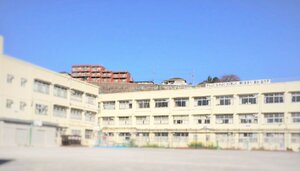 عޤ11ʬ882