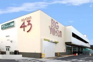 ⡼ BIG YOSUN(ӥå 衼) ḫŹޤ3ʬ208m