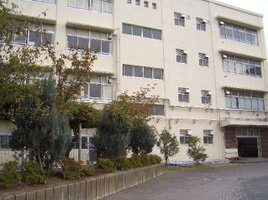 羮عޤ10ʬ737