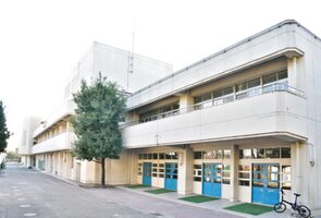 վعޤ10ʬ800