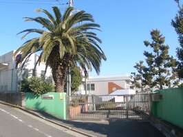 澮عޤ7ʬ563