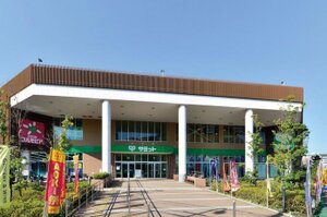 ���ߥåȥ��ȥ� ���Ͳ���Ź�ޤ����⣵ʬ��374m