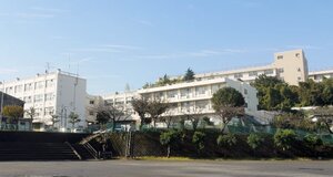 �ܤ�ë��ع��ޤ�����16ʬ��1224��