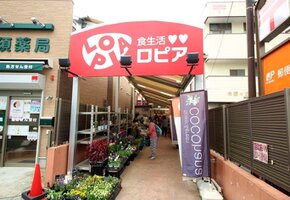 ���ԥ� ��˾����Ź�ޤ����⣱��ʬ��858m