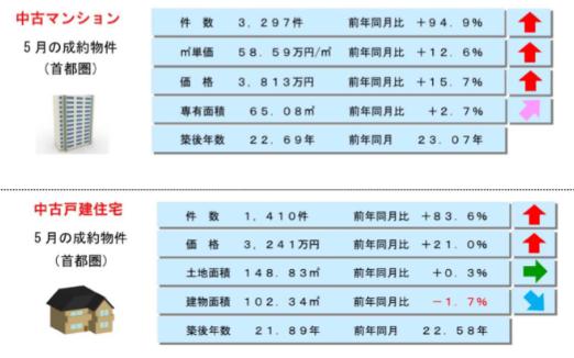 ꥨꥢưԶǡΤΤ餻3ǯ5١