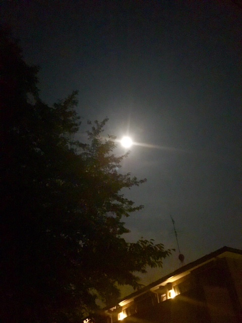 潩̾
