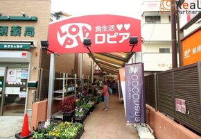 ���ԥ���˾����Ź ����12ʬ�� 910m